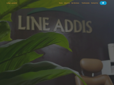 lineaddis.com snapshot