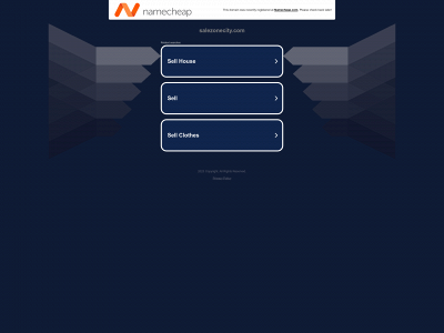 salezonecity.com snapshot