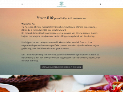 www.vision4life.nl snapshot