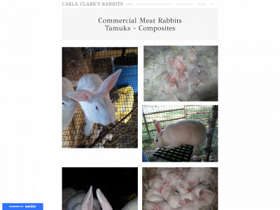 www.carterfarmsrabbitry.com snapshot