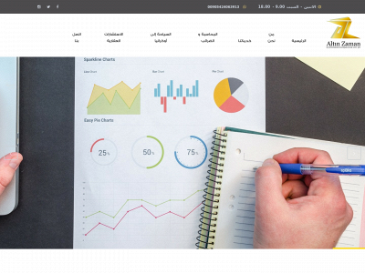 altinzaman.co snapshot