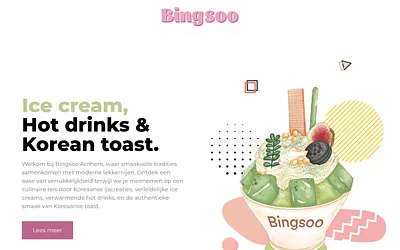bingsoo.nl snapshot