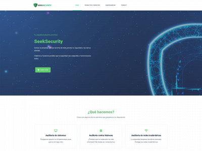 seeksecurity.es snapshot