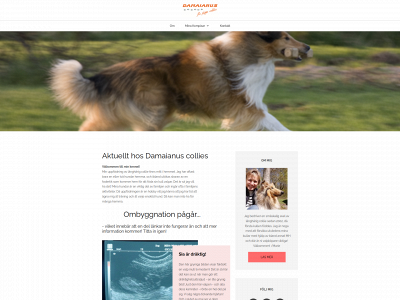 damaianus.se snapshot