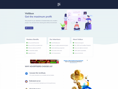 voltbux.com snapshot