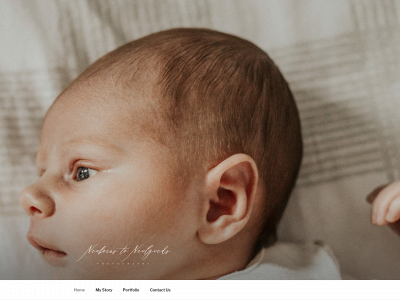 newbornstonewlyweds.com snapshot