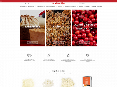 minordijaeshop.lt snapshot