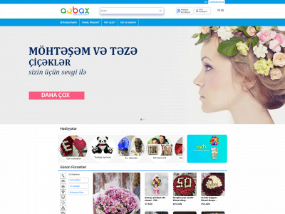 aybax.com snapshot