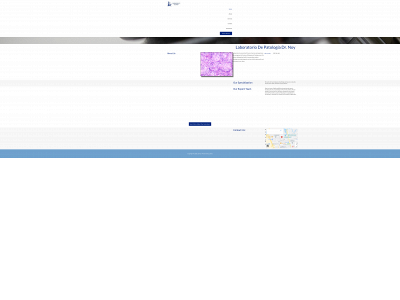 labnoy.com snapshot