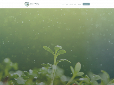 dianaocampo.ca snapshot