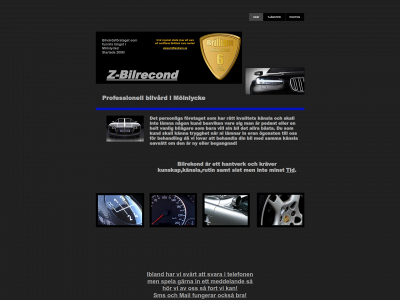 z-bilrecond.se snapshot