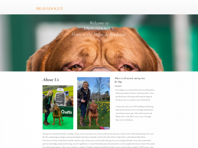 bravadogue.com snapshot