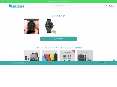 skylitgreen.com snapshot