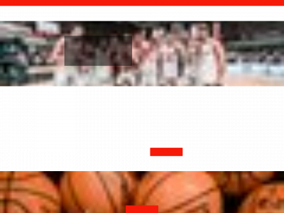 basketdanmark.dk snapshot