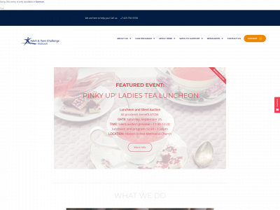 tcmidsouth.org snapshot
