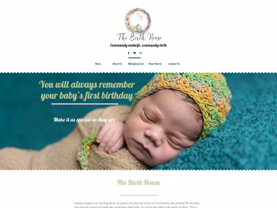 thebirthhousedfw.com snapshot