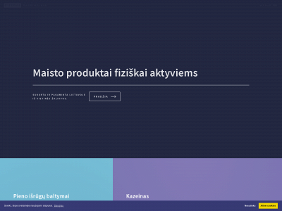 diesema.lt snapshot