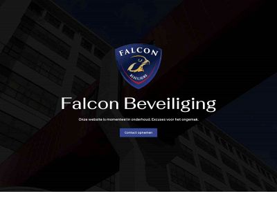 falconbeveiliging.nl snapshot