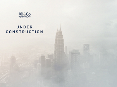 aliandco.com.eg snapshot