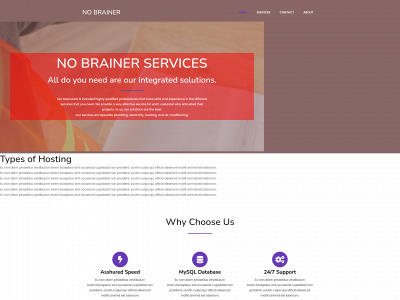 nobrainer.tech snapshot