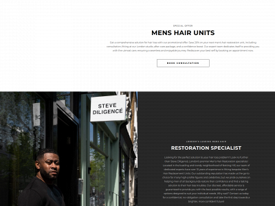 stevediligence.co.uk snapshot
