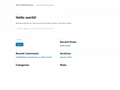 selectmarketinggroup.com snapshot