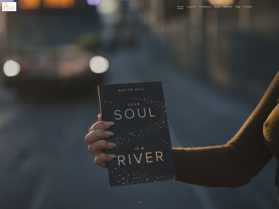 www.soulsinservice.com snapshot