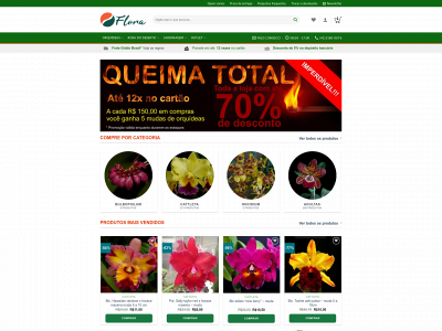 flora.net.br snapshot
