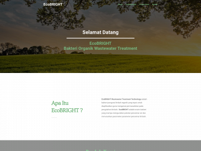 ecobrightid.com snapshot