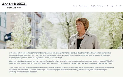 leidzen.online snapshot