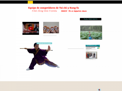 toledotaichi.com snapshot