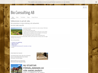 bioconsultingab.se snapshot