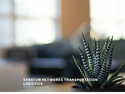 stratumnets.com snapshot