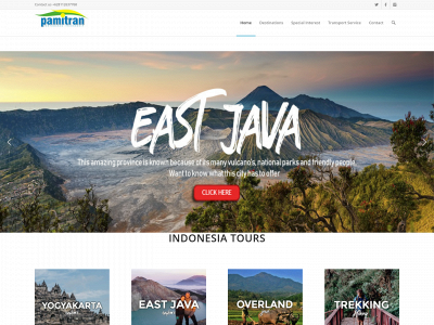 pamitrantours.com snapshot