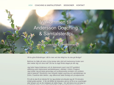 anderssoncoaching.com snapshot