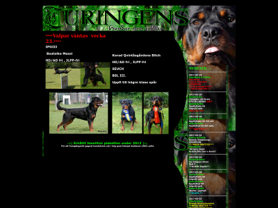 turingens.se snapshot