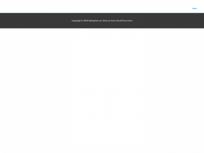 kattoption.se snapshot