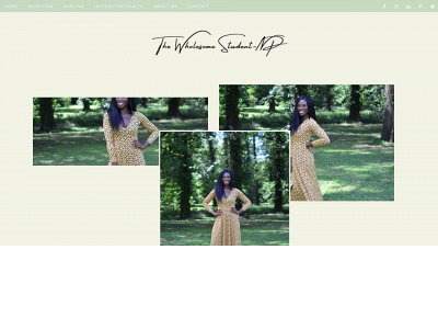 thewholesomestudentnp.com snapshot