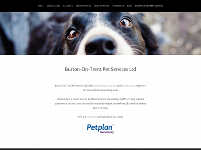 burtonpets.com snapshot