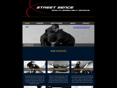 street-sence.com snapshot