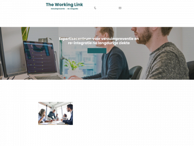 theworkinglink.be snapshot