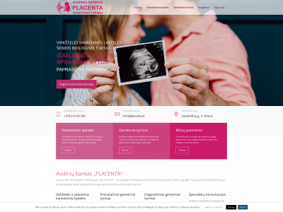 placenta.lt snapshot