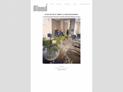 salongblond.se snapshot
