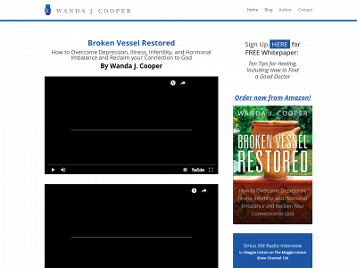 brokenvesselrestored.com snapshot
