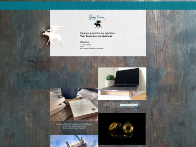 flyingmoose.be snapshot