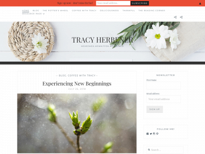 tracyherbener.com snapshot