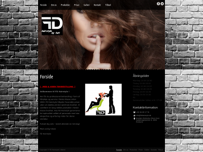 fdhairstyle.dk snapshot