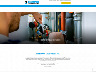 beekmansloodgieter.nl snapshot