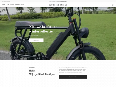 instabazar.nl snapshot