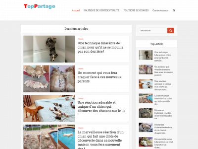 toppartage.com snapshot